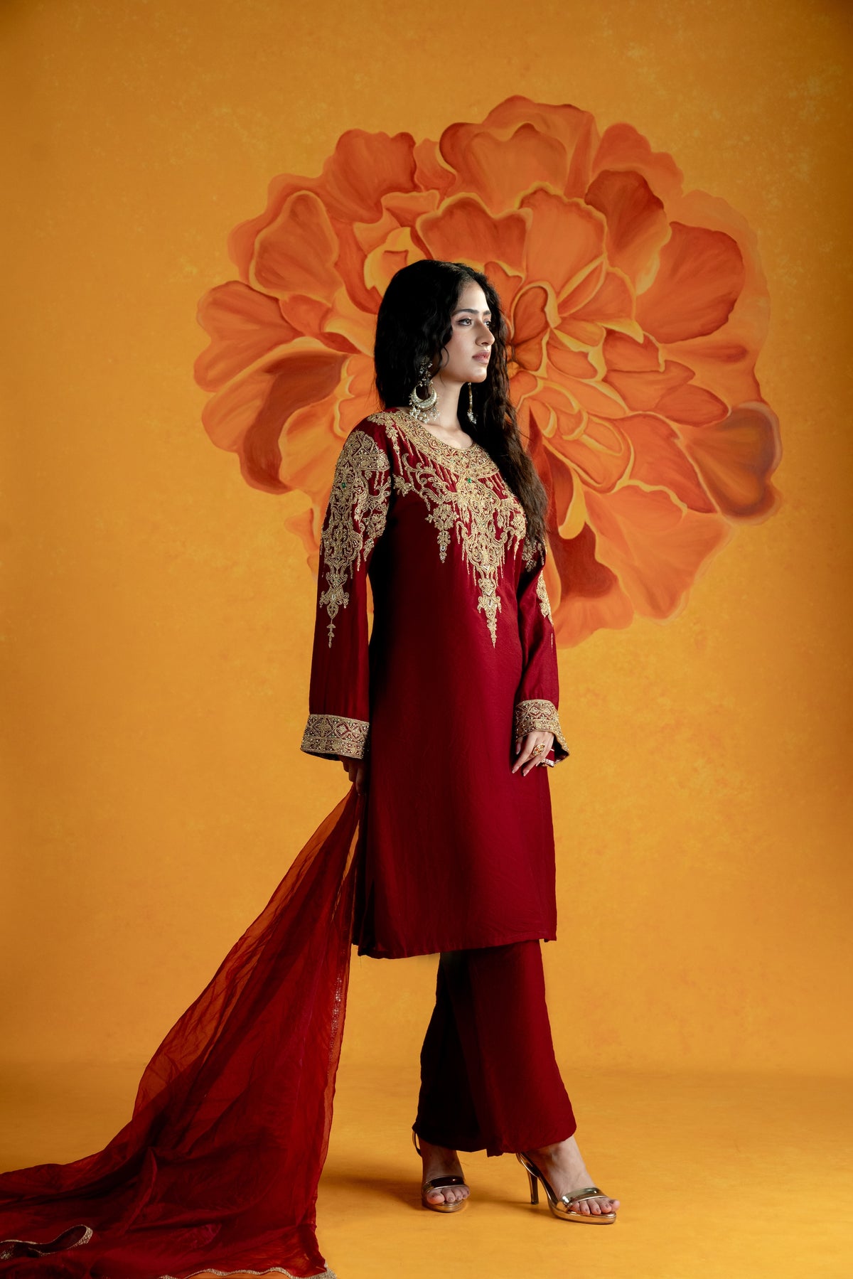 Surkh Suit Set - Divya Upadhya