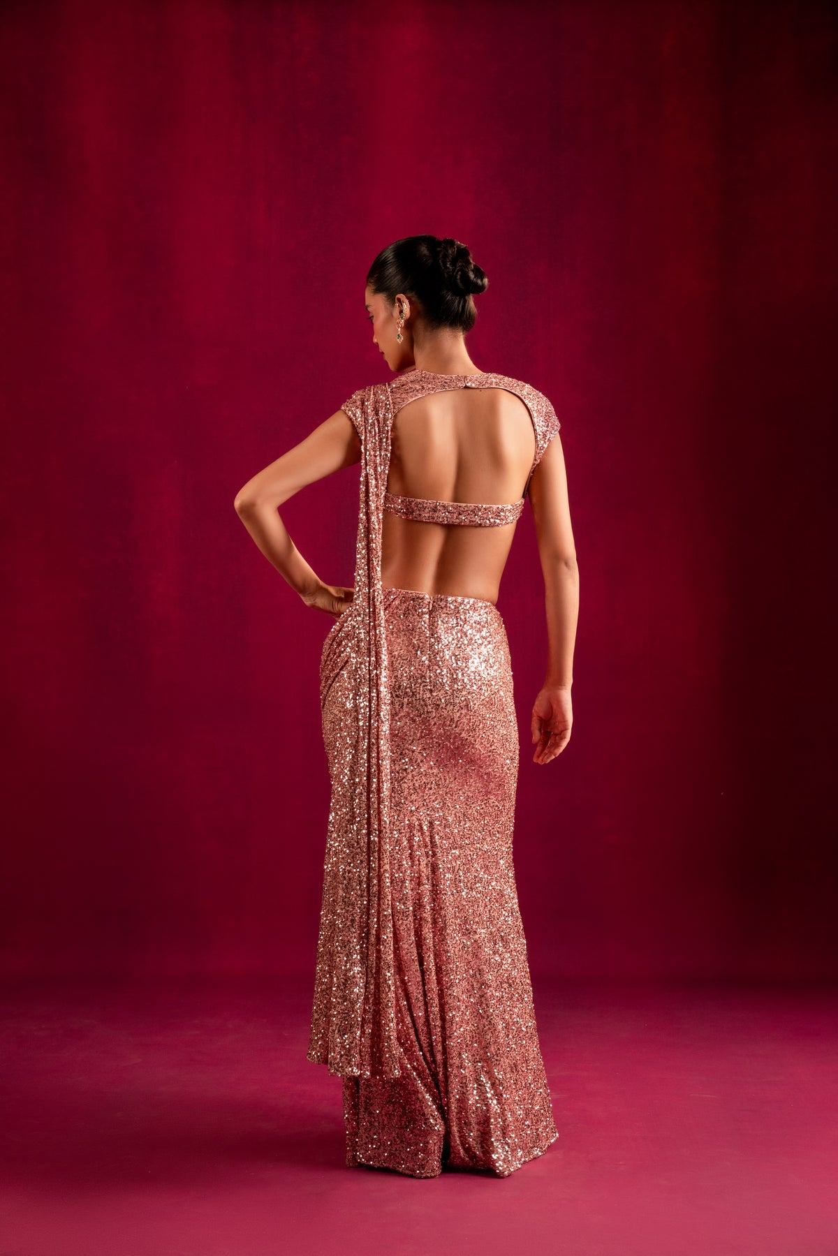 Blush Starlit Saree - Divya Upadhya